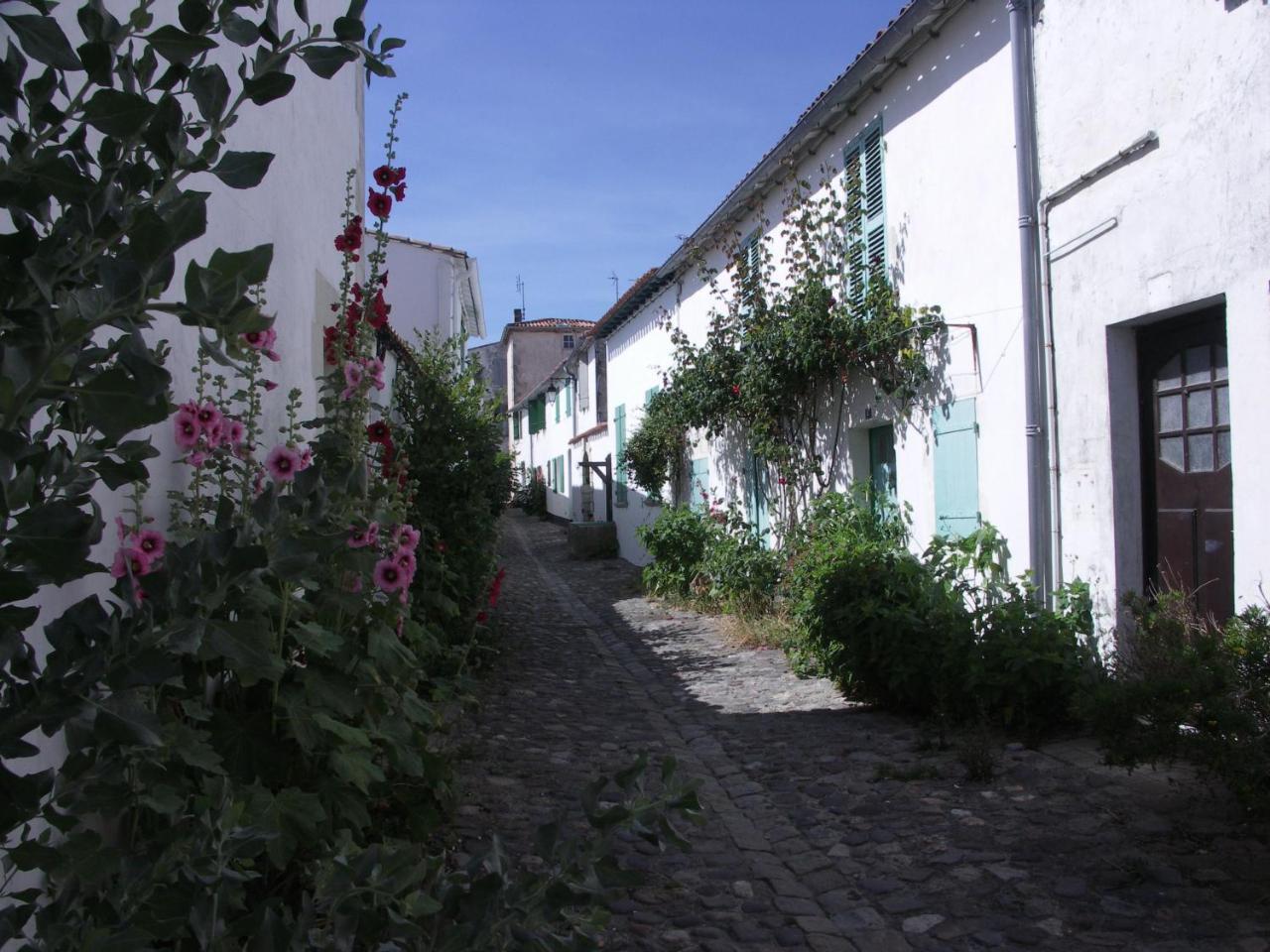 Maison Antioche Saint-Martin-de-Ré Esterno foto